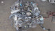 JDM Toyota Supra , Aristo / Lexus IS300 GS300 2JZGTE 3000 VVTI Twin Turbo Engine and Automatic Transmission With ECU